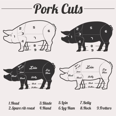 Domuz eti infographics keser