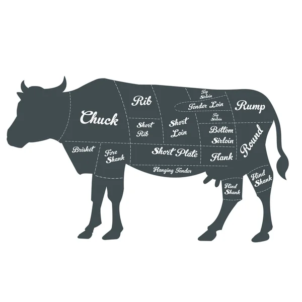 Beef Cuts Chart — Stock Vector