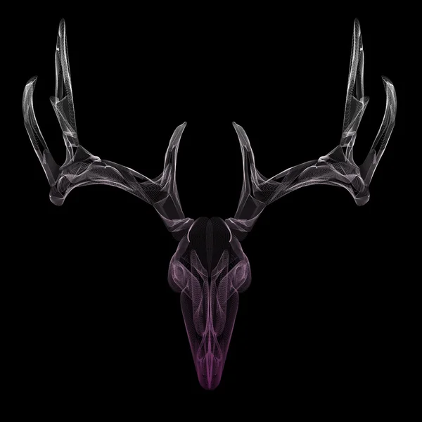 Wireframe deer skull — Stock Vector