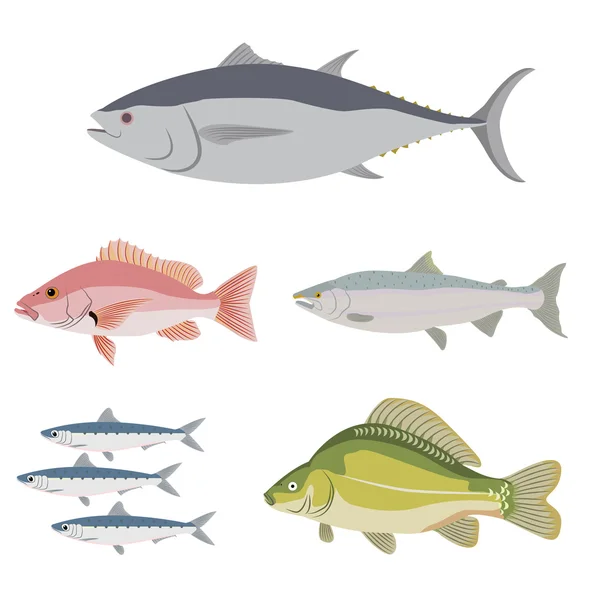 물고기의 종류 차이 — 스톡 벡터