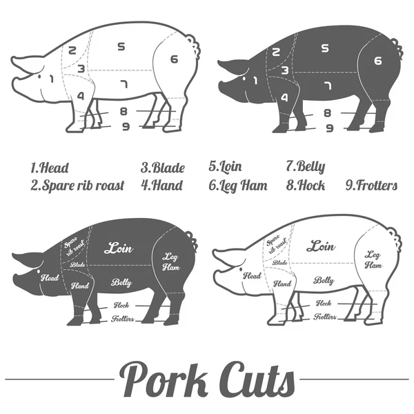 Pork meat cuts — Stock Vector