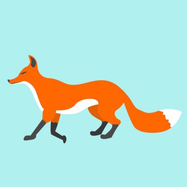 Red fox gür kuyruğu ile