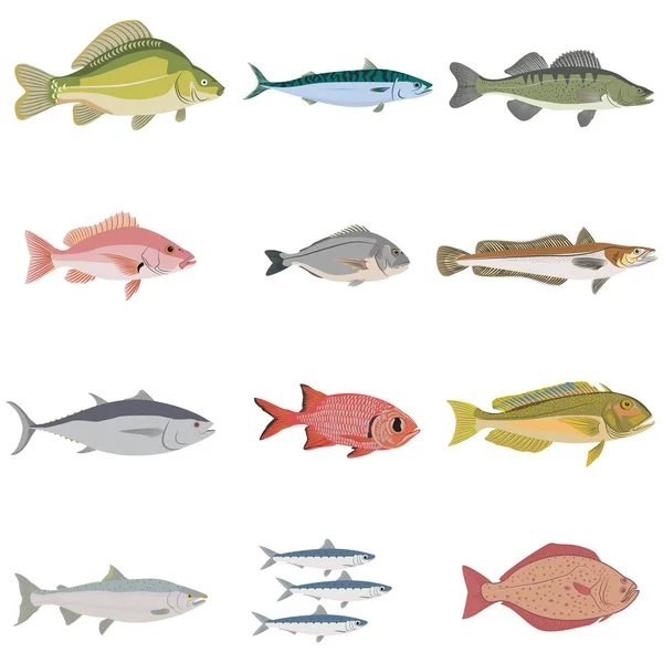 Set of difference kinds of fish — Stock Illustration Set of difference kinds of fish Royalty Free Stock Illustrations