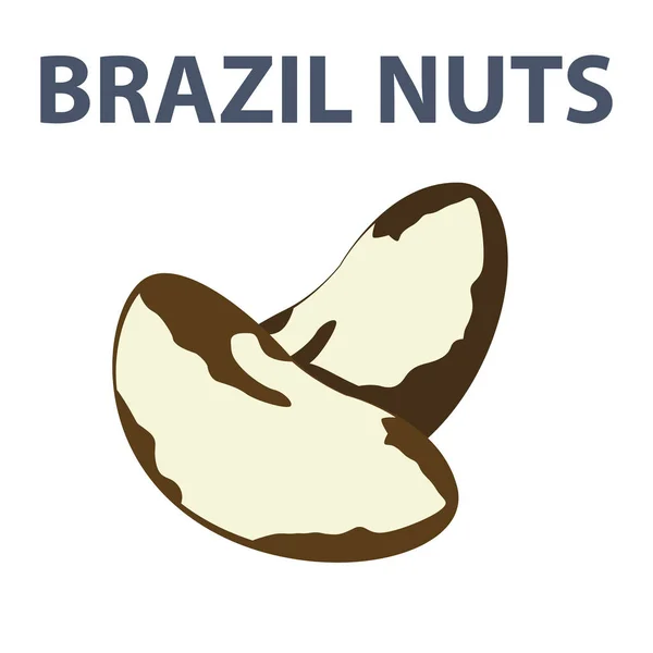 Deliciosas nueces de Brasil — Archivo Imágenes Vectoriales