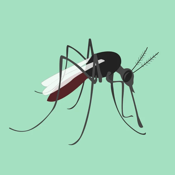 Tropische koorts zika virus — Stockvector