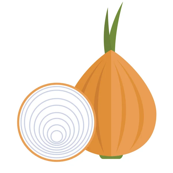 Trozo de cebolla fresca — Vector de stock