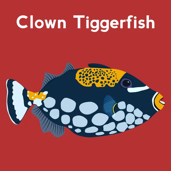 现实的小丑 Tiggerfish, — 图库矢量图片