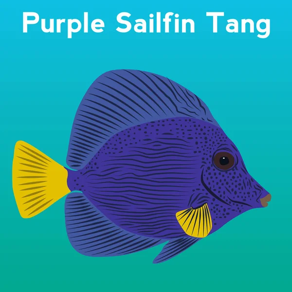 Púrpura Tan aletón — Vector de stock