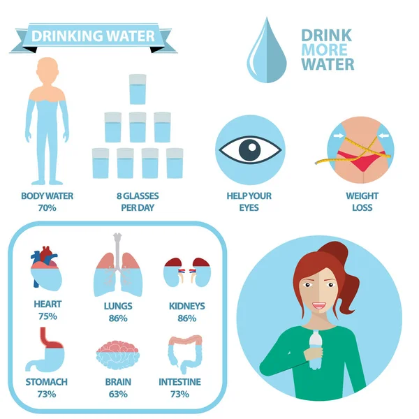 Infografías del agua corporal — Vector de stock