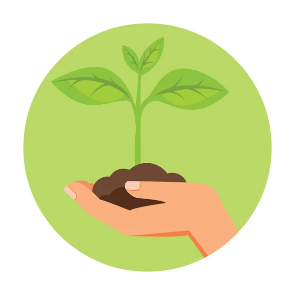 Mano tenuta verde piccola pianta — Vettoriale Stock