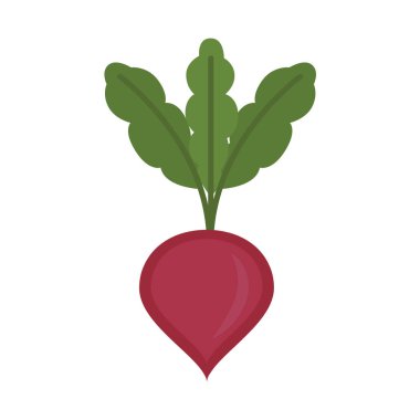 Düz simgesi pancar yaprakları ile. Vektör çizim.