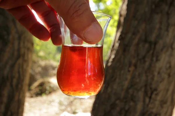 Taze demlendi, Türk çay — Stok fotoğraf