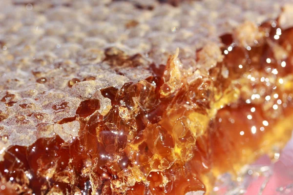 Ekologisk gul honung närbild — Stockfoto