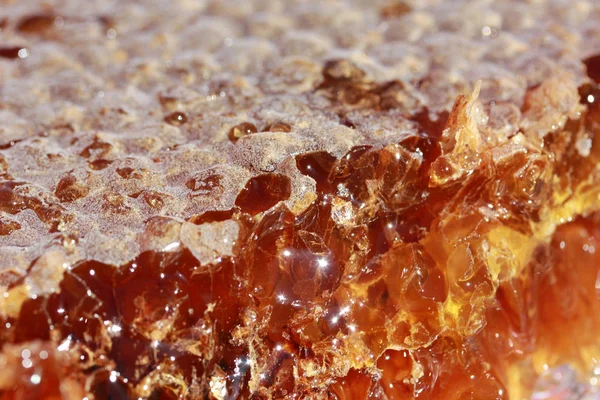 Közelkép szerves sárga méz — Stock Fotó