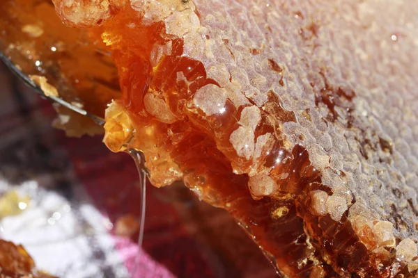 Gros plan sur le miel jaune biologique — Photo