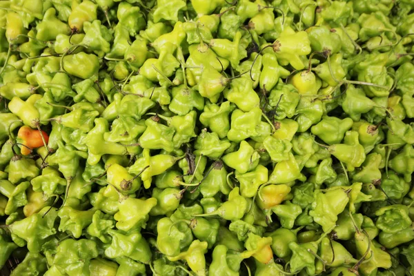 Small green peppers in basket — Stock Photo, Image