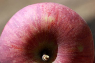 Yakın çekim organik kırmızı elma 