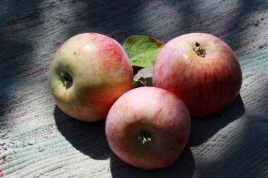 Yakın çekim organik kırmızı elma 