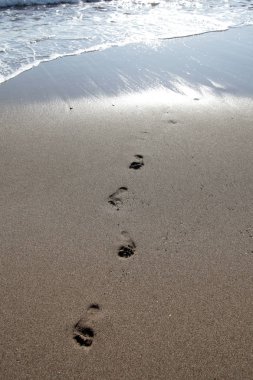Kumda ayak sesleri 