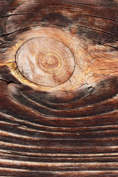 Přirozená texturu dřeva — Stock fotografie