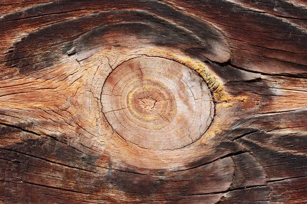 Fond naturel de texture de bois — Photo