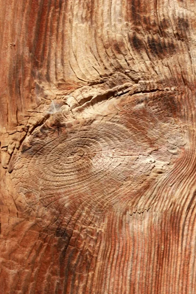 Natural background of wood texture — Stock Photo, Image