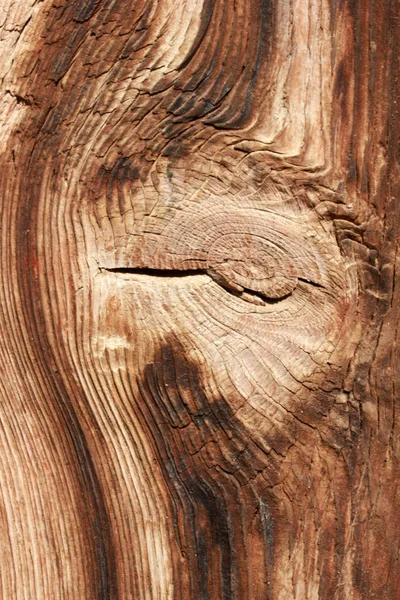 Naturalne tło tekstura drewna — Zdjęcie stockowe
