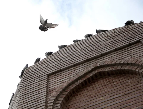콘 야의 모스크 지붕 — 스톡 사진