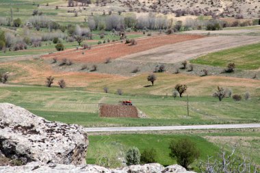 Büyük yeşil tarım arazisi