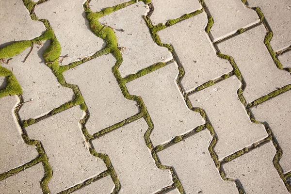 Modern gray cobblestone road pavement — Stock Photo, Image