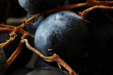 Kırmızı üzüm arka plan avuç  