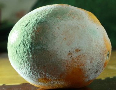 Küflü ve çürük limon