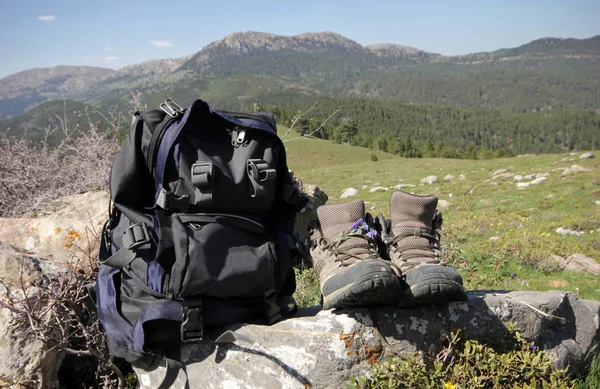 Wild flowers in walking boots - and backpack — Stock Photo, Image