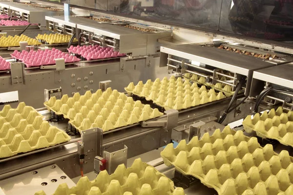 Fábrica Ovos Caixas Ovos — Fotografia de Stock