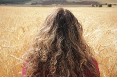 Buğday tarlasında güzel bir kadın 