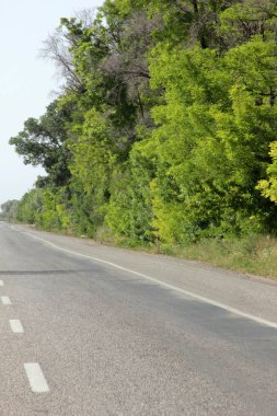 kırsal alan asfalt yol