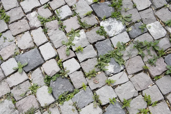 Gamla Kullerstensbelagda Bakgrunder Närbild — Stockfoto