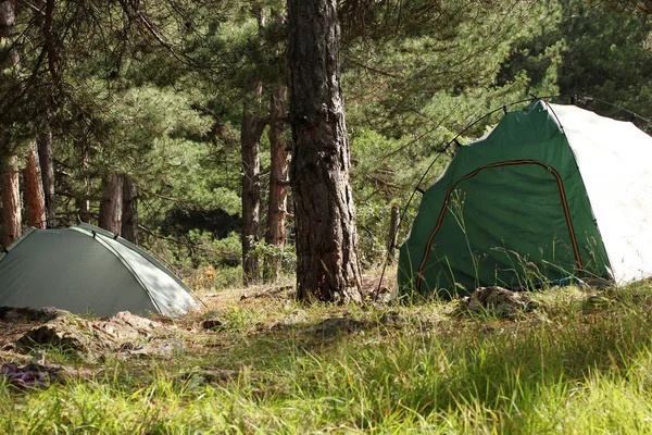 森林露营帐篷 — 图库照片