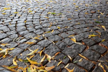 Arnavut kaldırımlı sarı yapraklarda 