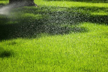 otomatik sulama yağmurlama 