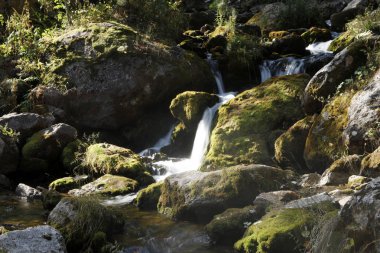 şelale üzerinde dağ dere 