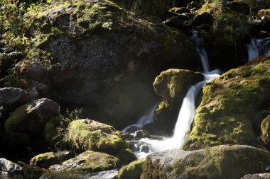 şelale üzerinde dağ dere 