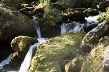 şelale üzerinde dağ dere 