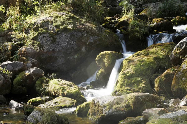 Cascada Corriente Montaña —  Fotos de Stock