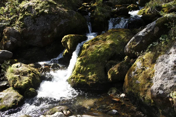 şelale üzerinde dağ dere 