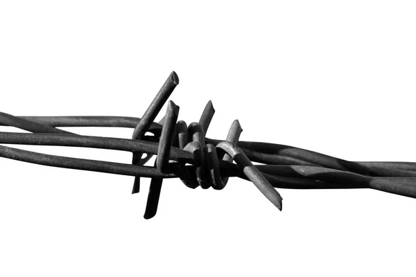 Barbed Wire White Ground — Stock Photo, Image