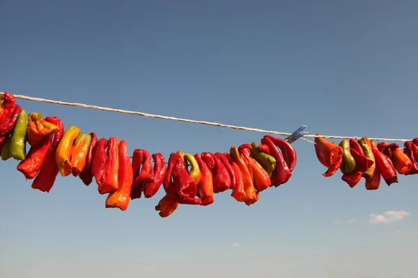 Hanging Red Dry Peppers — Stock Photo, Image