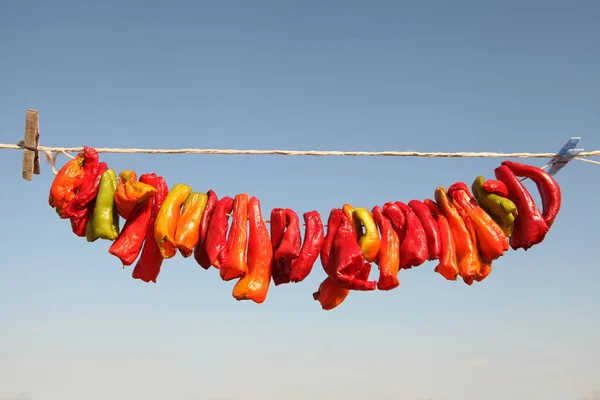 Pendurado Red Dry Peppers — Fotografia de Stock