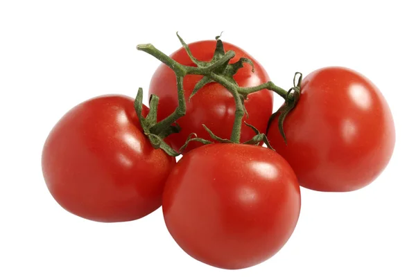 Tomates Rouges Fraîches Isolées Sur Fond Blanc — Photo