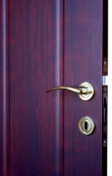 ハンドル付き木製内装ドア — ストック写真